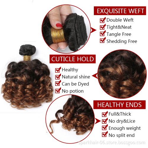 SPARK Ombre Bundles with 13*4 Lace Frontal Closure, Pre Plucked Two Tone Body Wave Human Hair Weave with Frontal